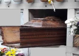 Riesumazione cadavere